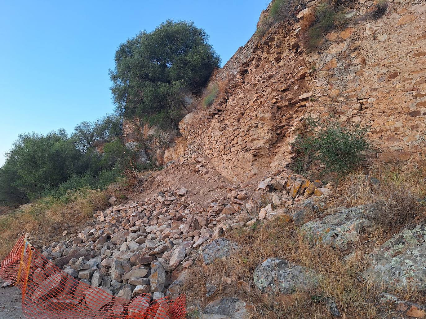 Imagen secundaria 1 - Arriba y a la izquierda estado en que se halla el lienzo de muralla derrumbado. A la derecha, higuera brava que ha crecido en otro tramo de la muralla y que sigue deteriorándola.