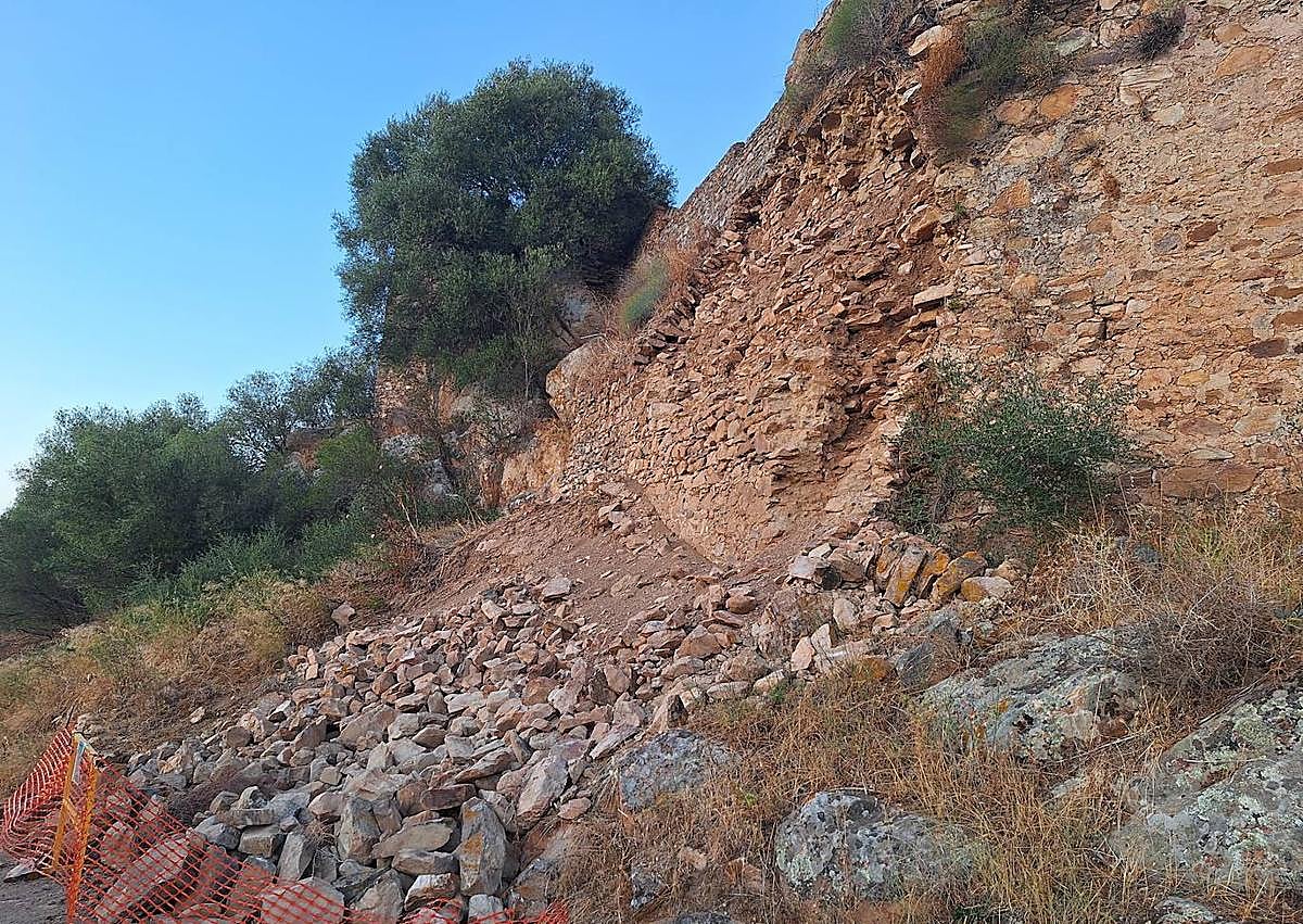 Imagen secundaria 1 - Arriba y a la izquierda estado en que se halla el lienzo de muralla derrumbado. A la derecha, higuera brava que ha crecido en otro tramo de la muralla y que sigue deteriorándola.