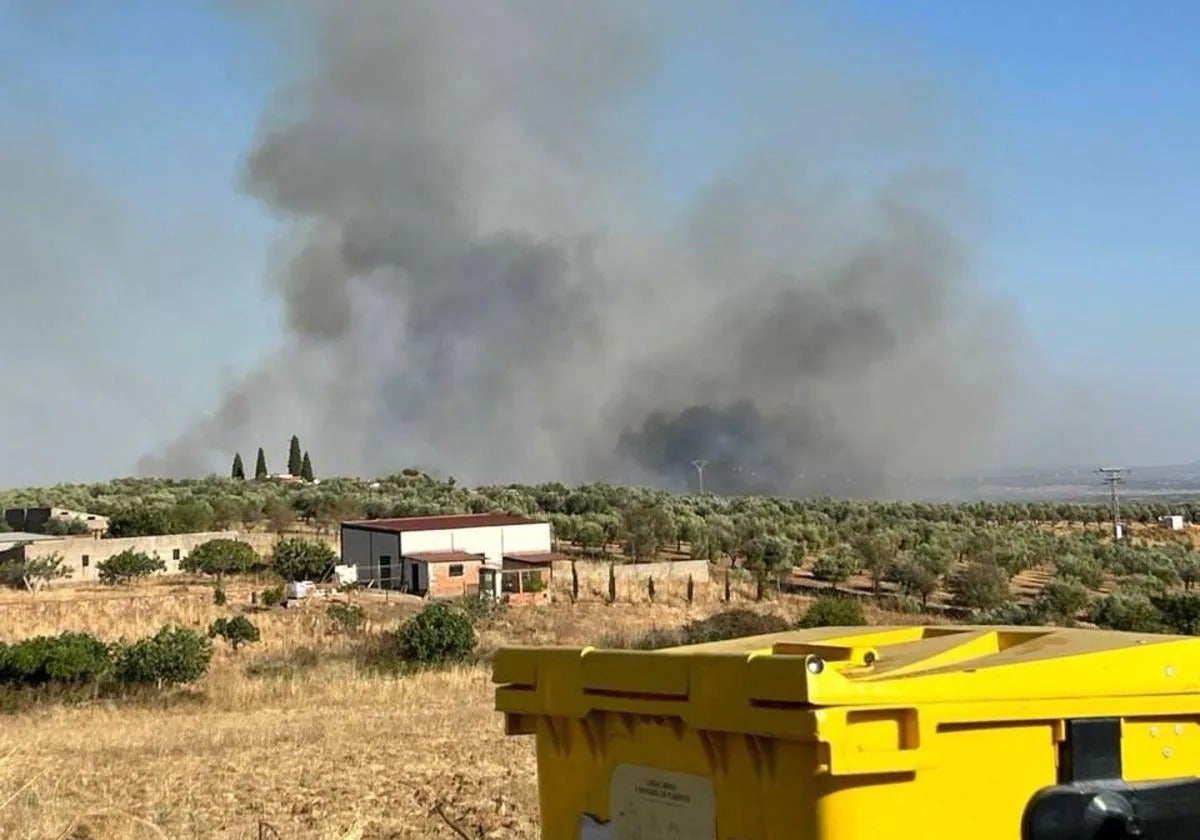 Un total de 20 incendios forestales han quemado 328 hectáreas esta semana en Extremadura