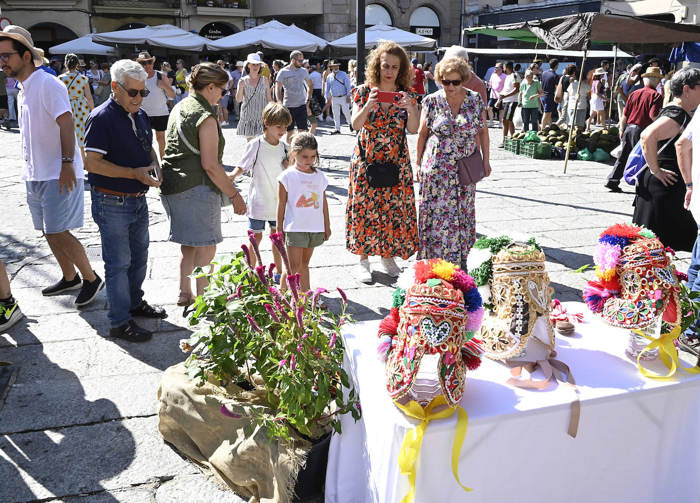 Fotos del Martes Mayor de Plasencia