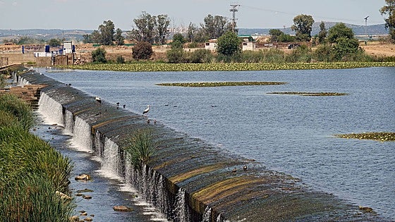 La caja fuerte hallada en el río en Badajoz tenía oro, dinero y relojes robados a un empresario luso