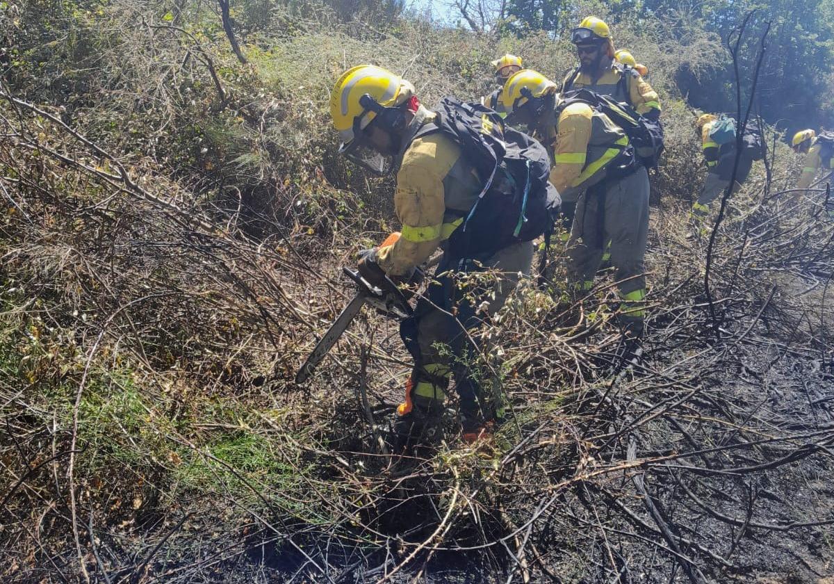 Imagen de archivo de la Brif Pino en un incendio.