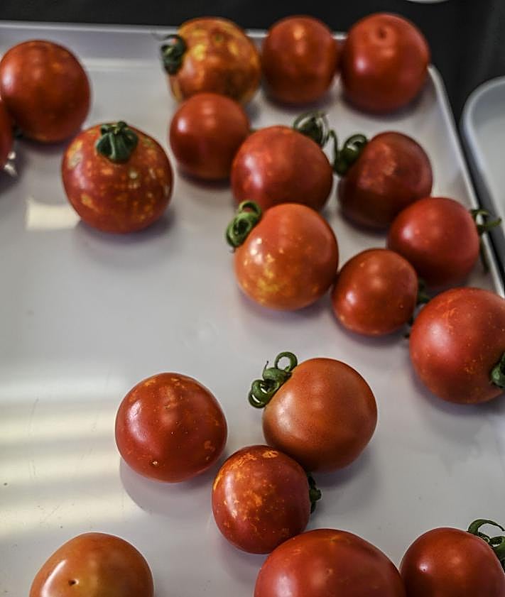 Imagen secundaria 2 - En busca del tomate del huerto del abuelo