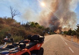 El incendio forestal de Alange, en imágenes