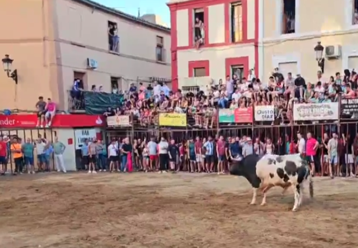 La cogida se produjo solo un minuto después de la suelta de Rondito en al plaza.