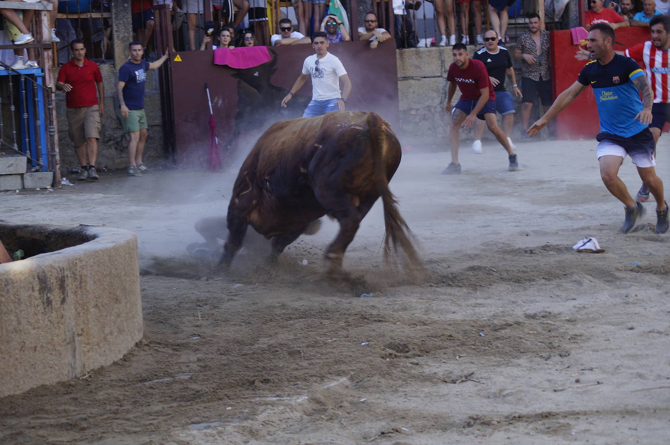 Así fue la cogida del toro durante las fiestas de Cuacos de Yuste