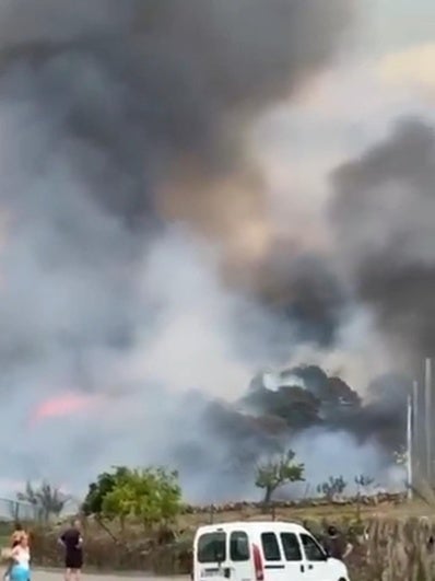 Imágenes del incendio registrado en Alía.