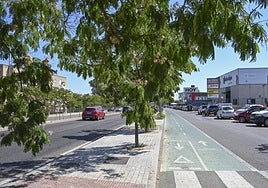 Los árboles invaden la acera en la avenida del Diario HOY.