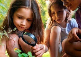 La próxima semana se celebrará la segunda edición del Aula de la Naturaleza en la Rucab