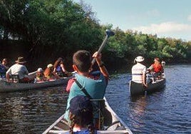 Alta calidad y máximo confort a tu alcance