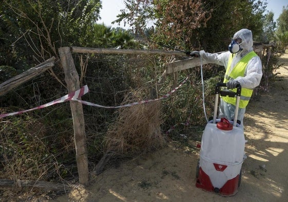 Tareas de fumigación en Andalucía, por zonas cercanas al río Guadalquivir, así como humedales, para intentar evitar la propagación del mosquito que transmite la enfermedad del virus del Nilo.