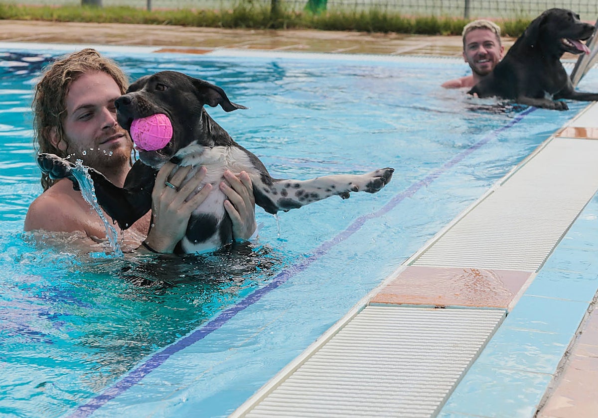 Perros en la piscina Guadiana en una cita anterior.