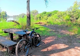Fotos | Rincón de Caya