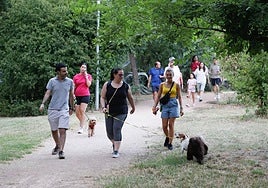 Dueños paseando a sus perros en el parque del Príncipe.