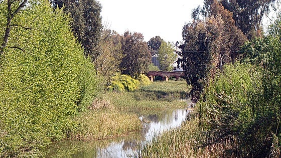 La CHG creará dos parques en Talavera y Balboa para evitar inundaciones