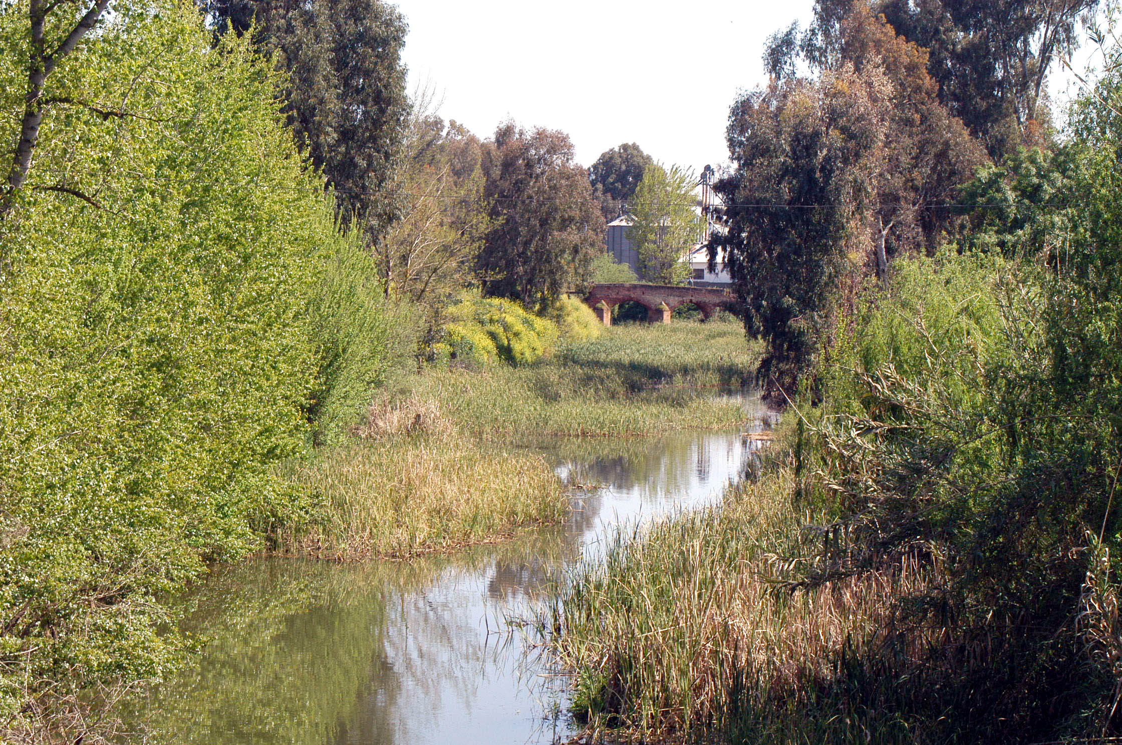 Río Limonetes a su paso por Talavera.