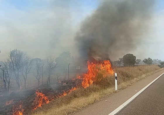 El incendio de Badajoz, cerca del cuartel de Bótoa, en imágenes