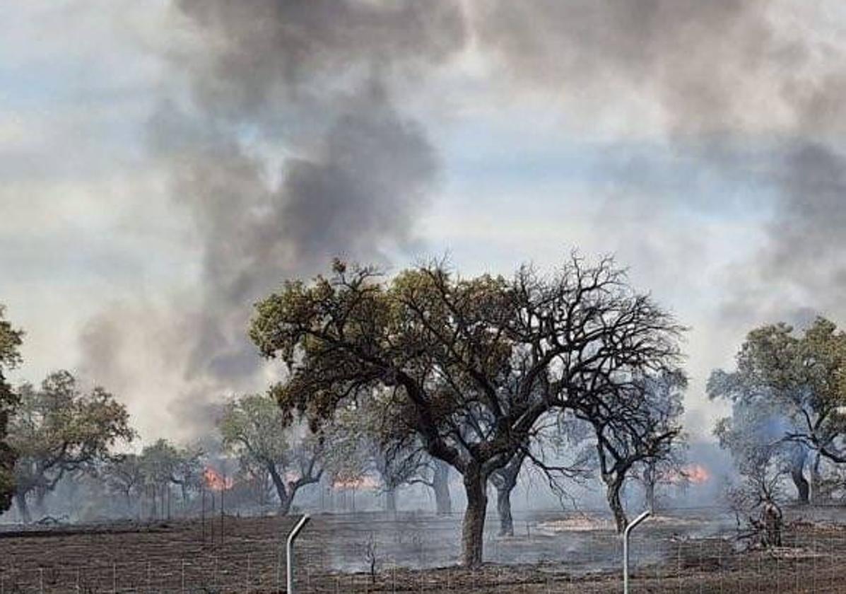 Desactivado el nivel 1 en el incendio cerca del cuartel de Bótoa en Badajoz