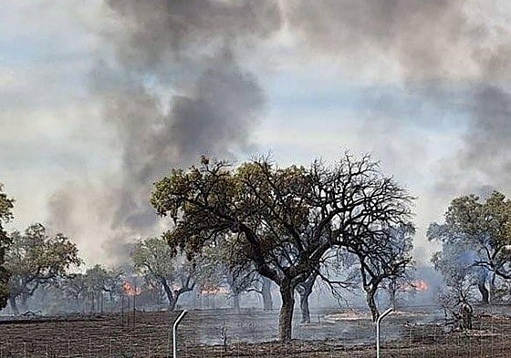 Incendio forestal producido cerca del cuartel de Bótoa