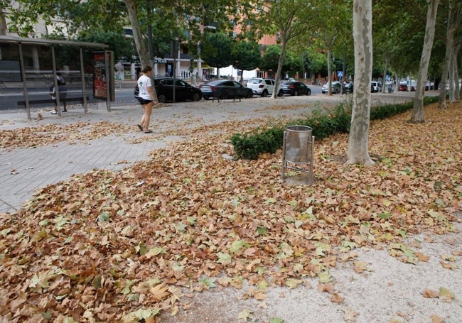 La Avenida de Alemania llena de hojas secas en pleno verano.