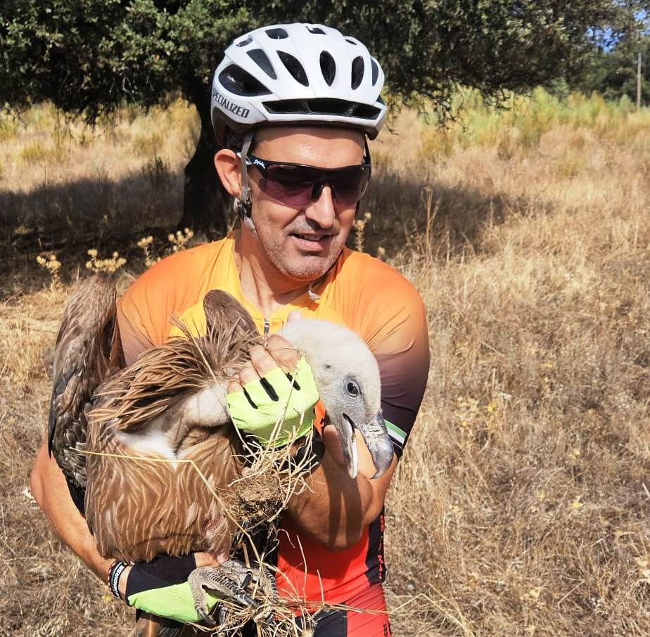 Así fue el rescate de un buitre leonado por parte de unos ciclistas