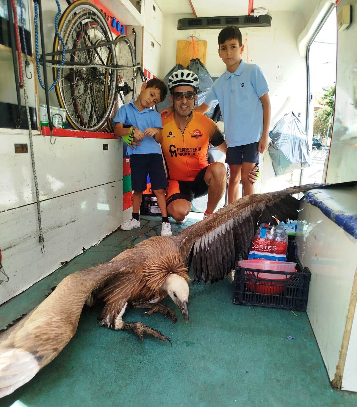 Así fue el rescate de un buitre leonado por parte de unos ciclistas