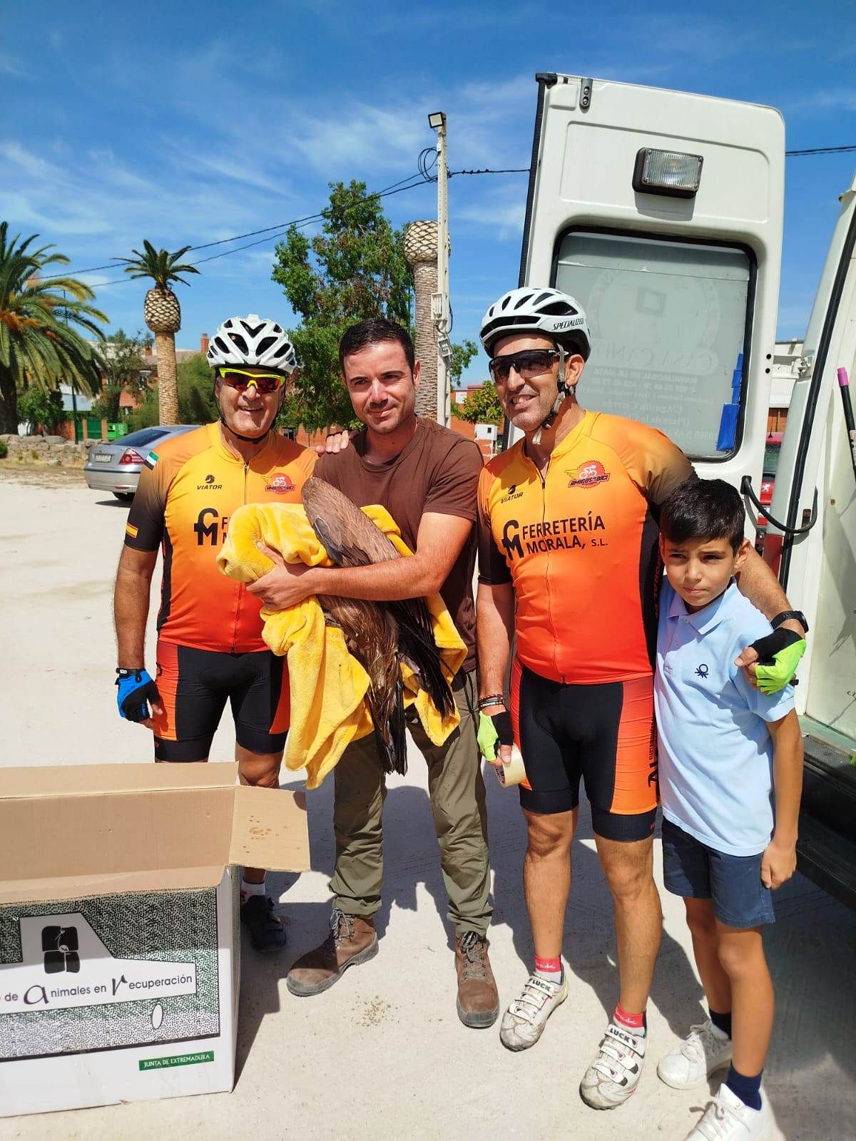 Así fue el rescate de un buitre leonado por parte de unos ciclistas