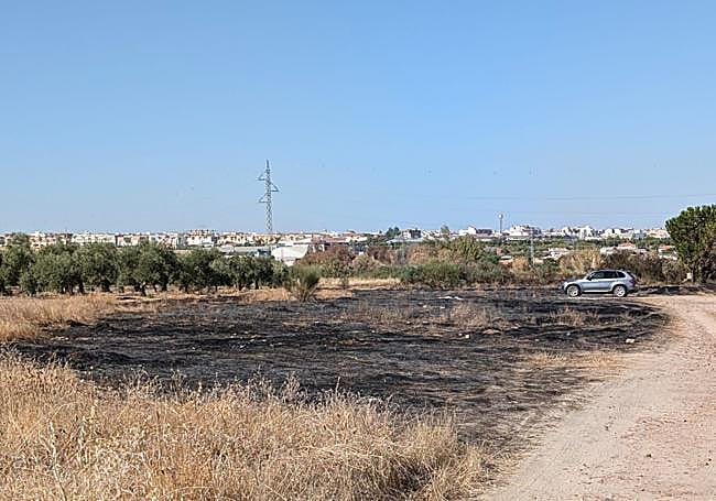 Así ha quedado la zona tras el incendio.