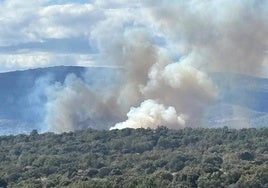 Columna de humo del incendio en la Sierra de Gata.