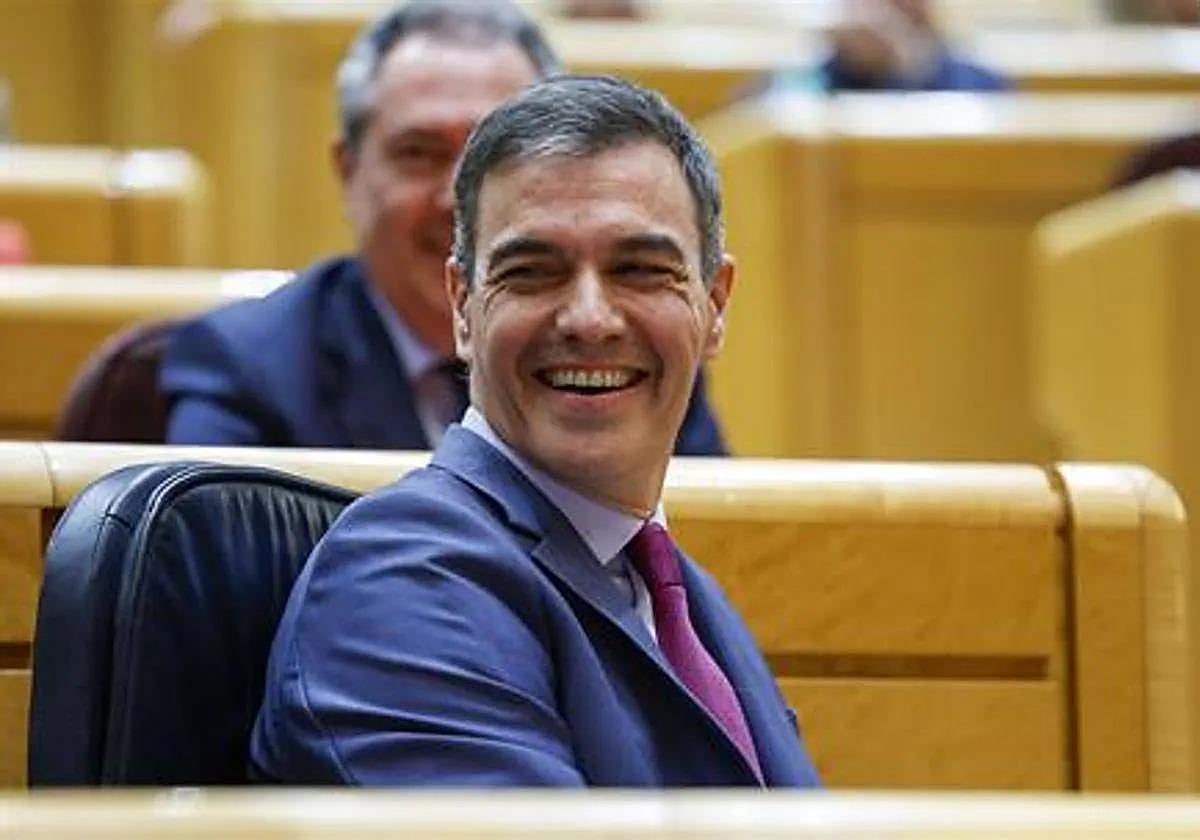 El presidente del Gobierno, Pedro Sánchez, en el Senado.