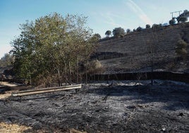 Imagen de los efectos del fuego en la zona del Paseo Alto.