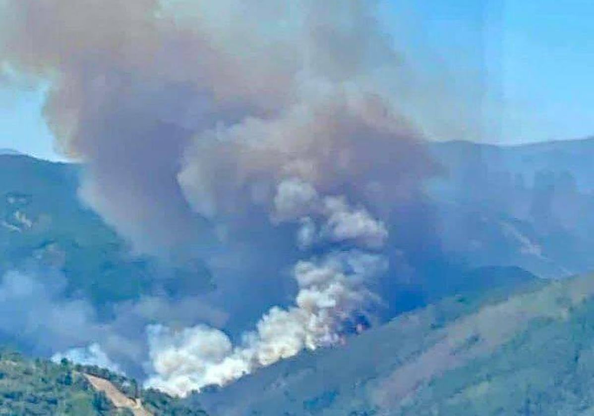 Incendio en Nuñomoral.