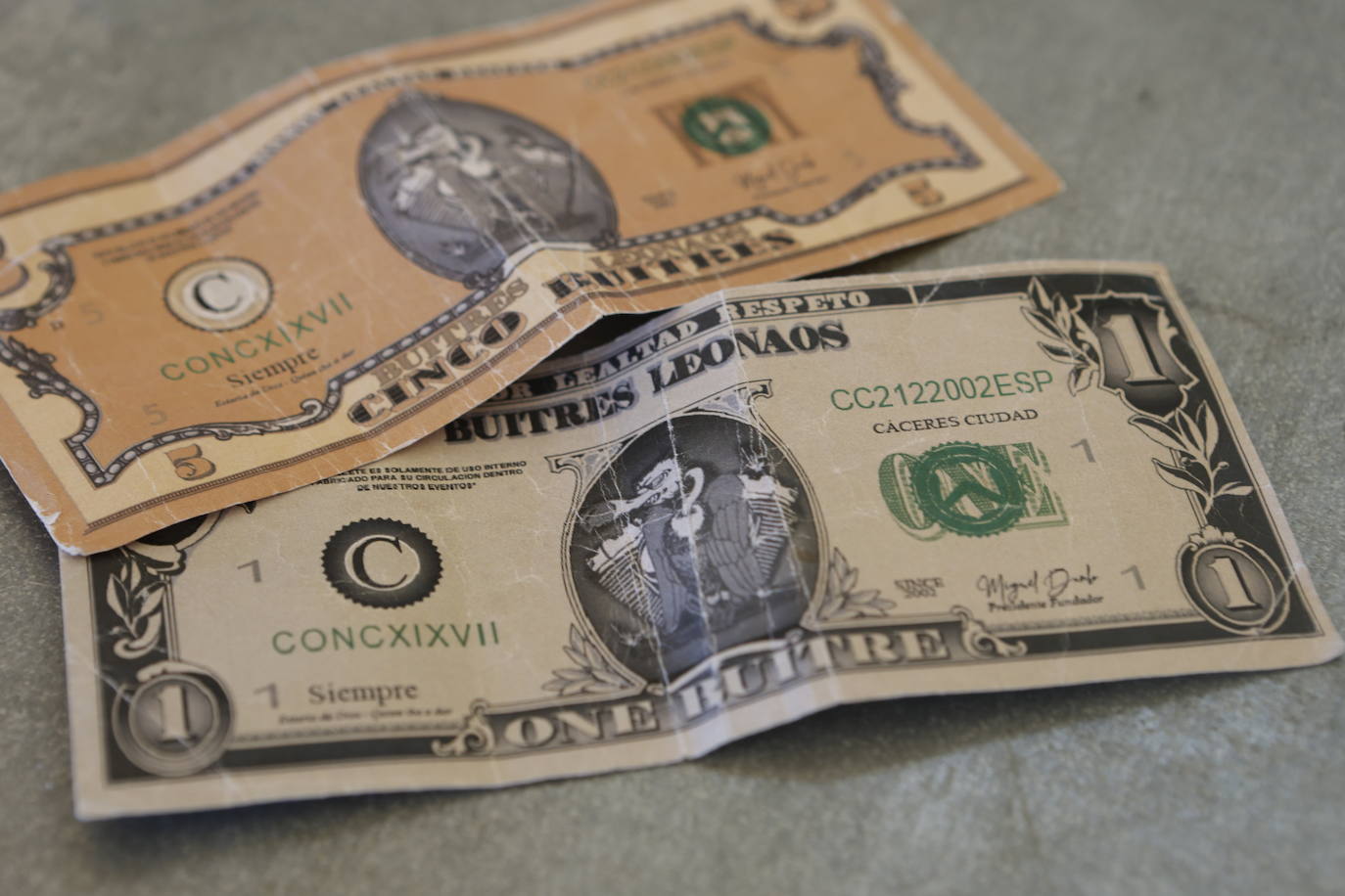 Así ha sido la primera jornada de la concentración internacional del club Buitres Leonaos