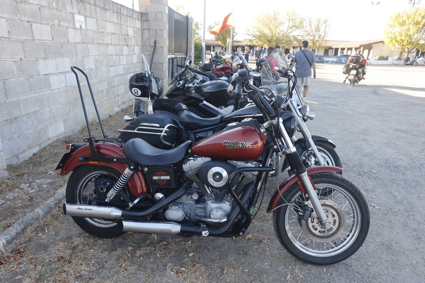 Así ha sido la primera jornada de la concentración internacional del club Buitres Leonaos