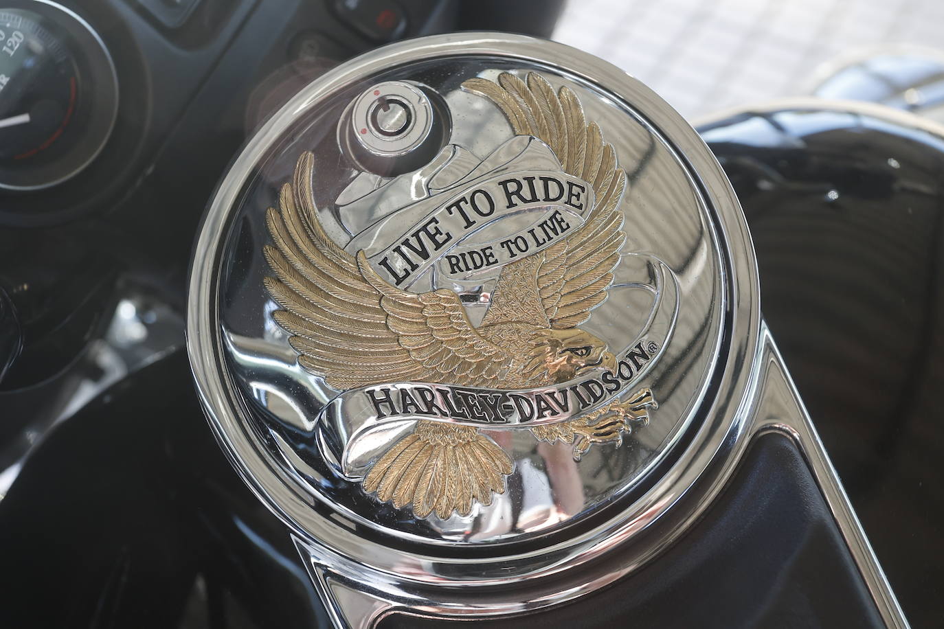 Así ha sido la primera jornada de la concentración internacional del club Buitres Leonaos