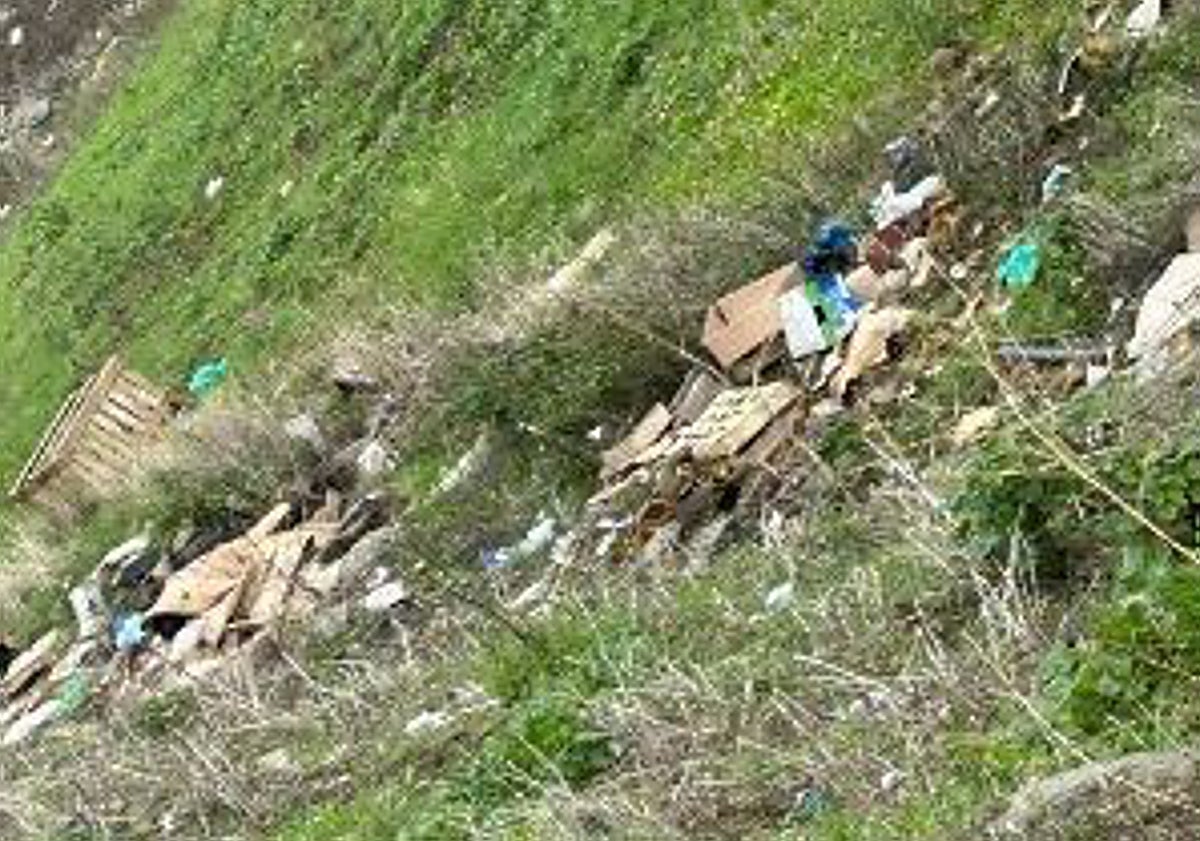 Imagen principal - Suciedad en Vegas del Mocho, tras el mercadillo; arboles arrancados y pavimento en mal estado.