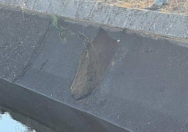 Detalle de la avería en uno de los canales secundarios de Orellana.