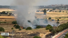 Incendio de pastos en Badajoz.