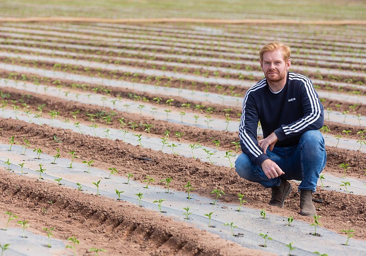 Casi la mitad de los beneficiarios de estas ayudas son jóvenes.