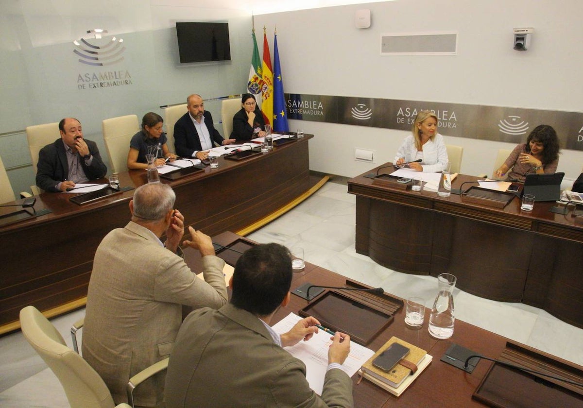 Reunión de la mesa y los portavoces de la comisión de investigación.