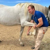 Agricultura confirma otros dos focos de lengua azul en Extremadura, en Alconchel y Cheles