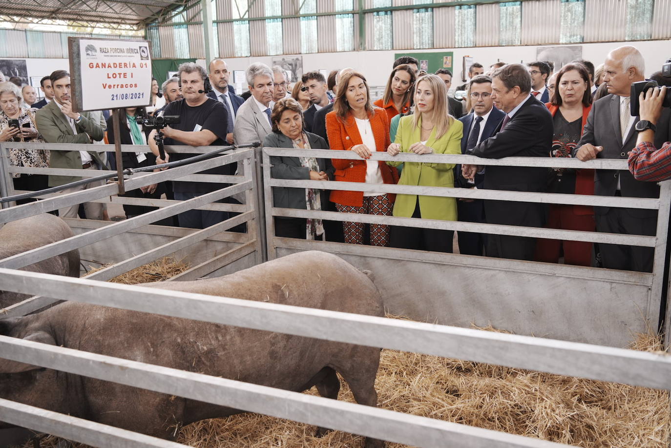 Así ha sido la visita del ministro Planas a la Feria Ganadera de Zafra