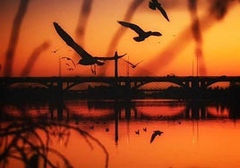 Un atardecer en Badajoz ha dado al extremeño el tercer premio del certamen fotográfico nacional.