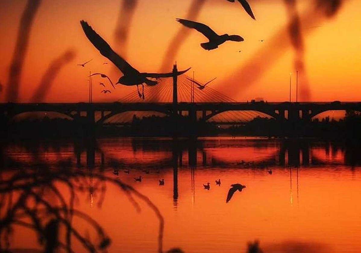 Un atardecer en Badajoz ha dado al extremeño el tercer premio del certamen fotográfico nacional.