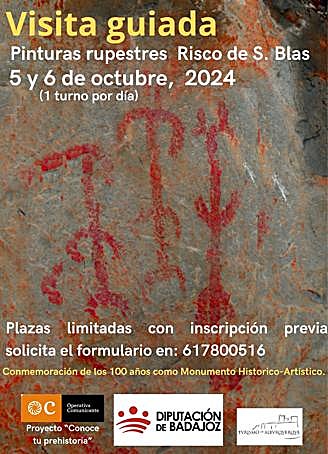 Cartel de la actividad