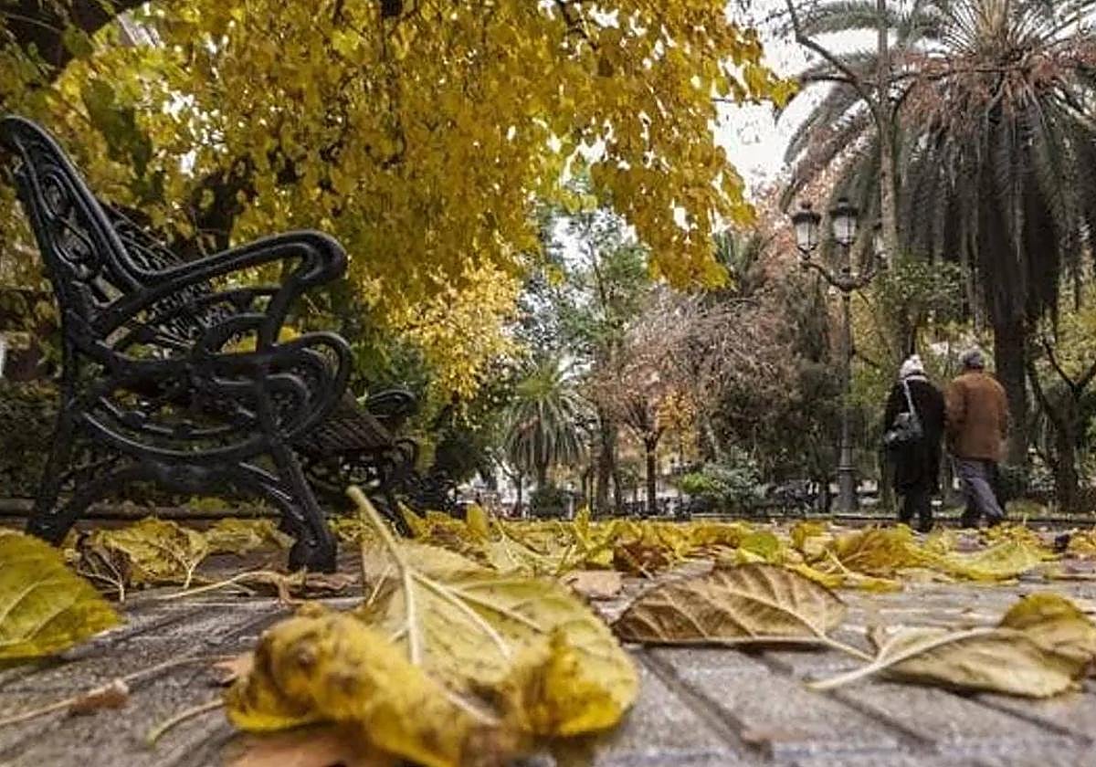 La Aemet avisa que habrá lluvias y caerán las temperaturas en la próxima semana