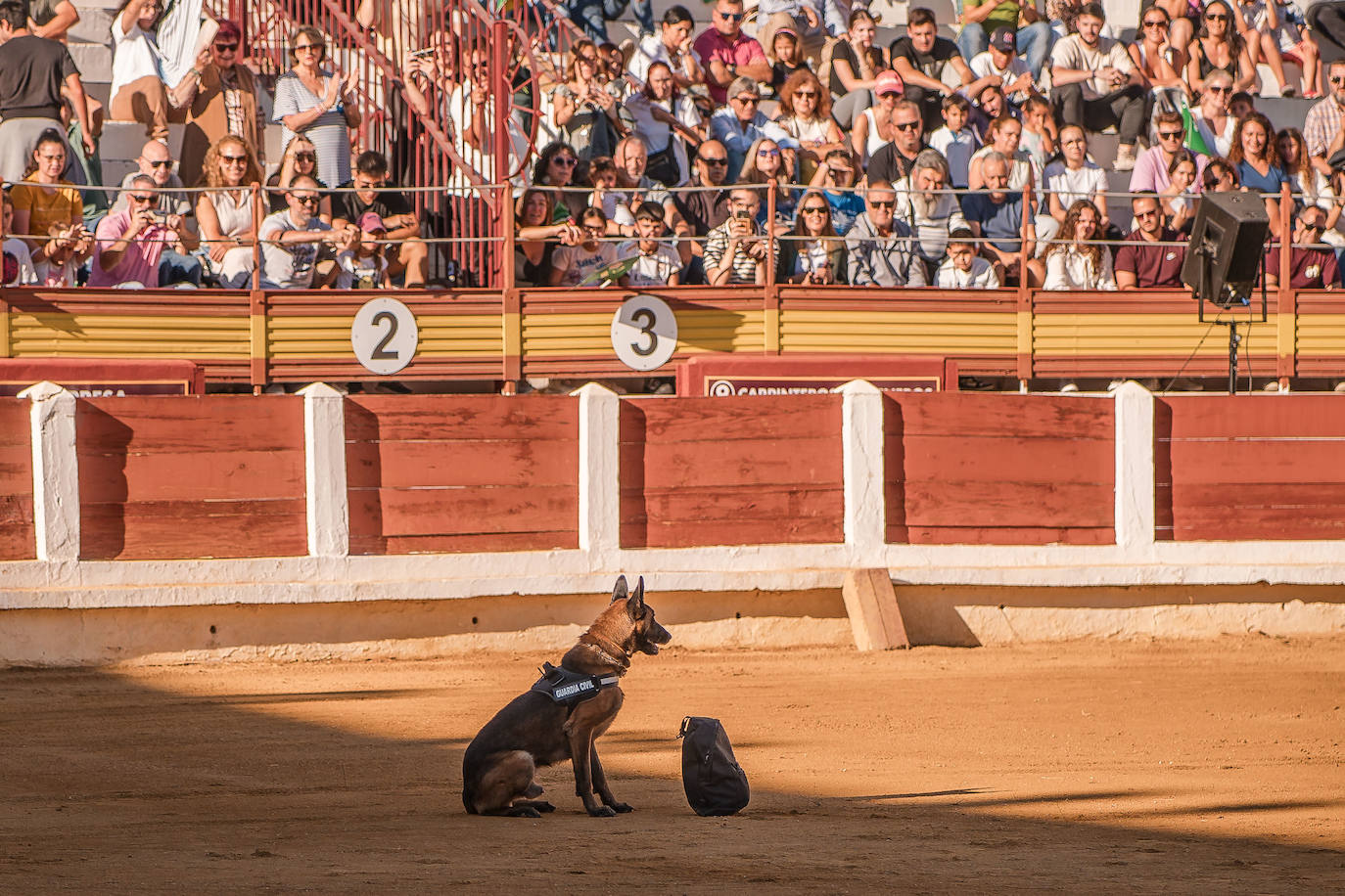 Fotos | Así fue la exhibición de la Guardia Civil en Mérida