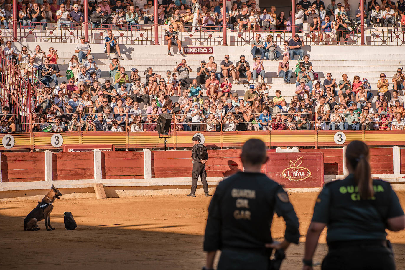 Fotos | Así fue la exhibición de la Guardia Civil en Mérida