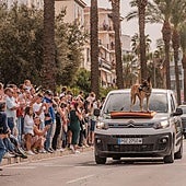 Desfile de la Guardia Civil en Mérida, en imágenes (II)