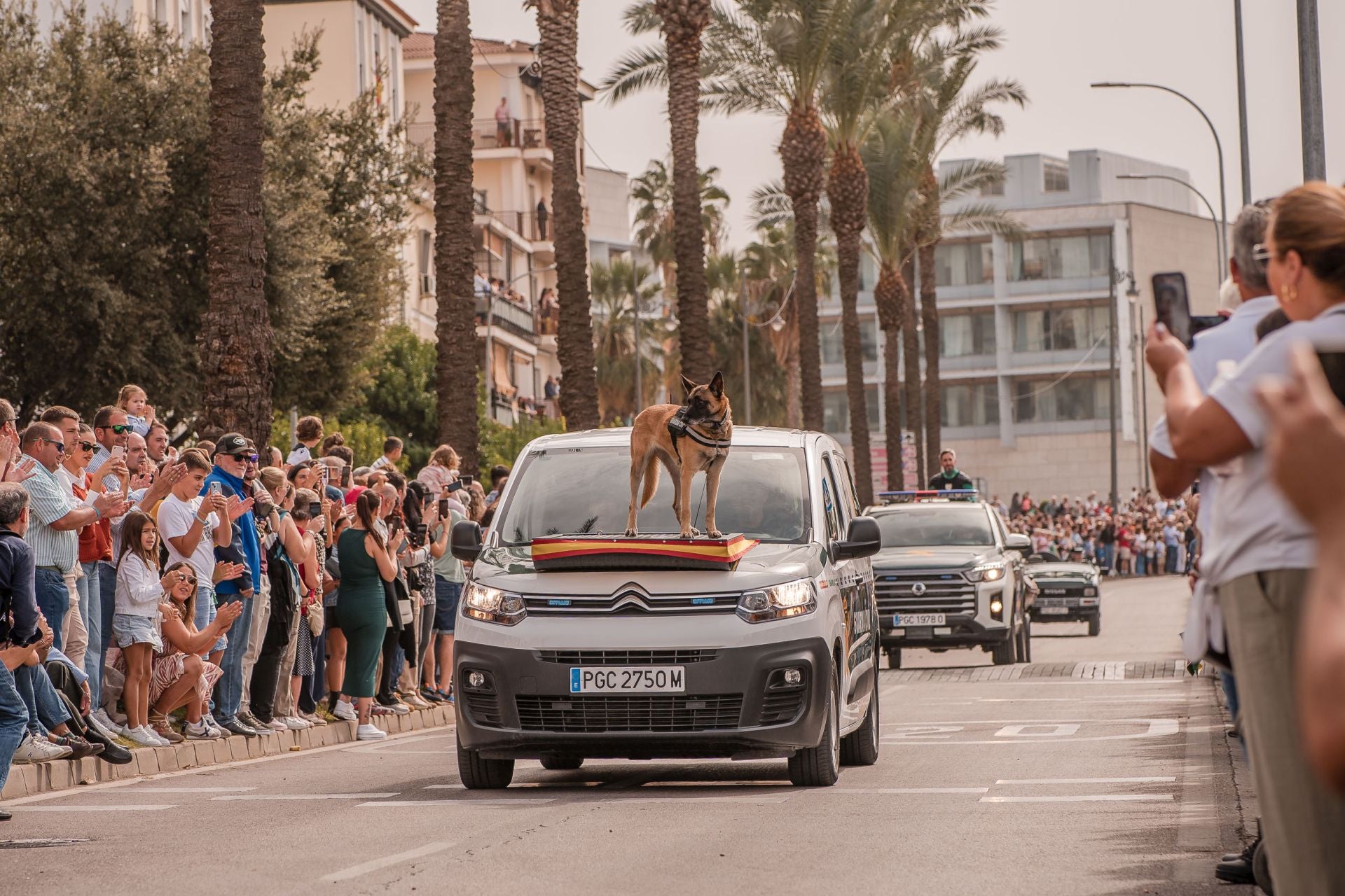 Desfile de la Guardia Civil en Mérida, en imágenes (II)